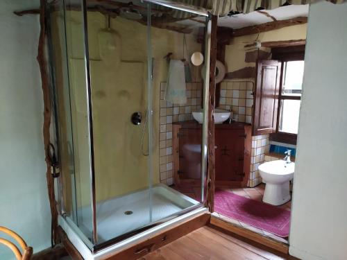 a bathroom with a shower and a toilet at Sa domu 'eccia in Urzulei