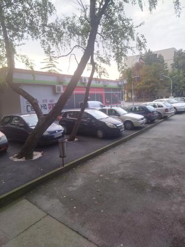 a row of cars parked in a parking lot at Cezar in Arandjelovac