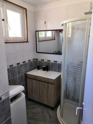 une salle de bain avec un lavabo et une douche dans l'établissement Gîte Thomas et Joanie, à Moulins-Saint-Hubert