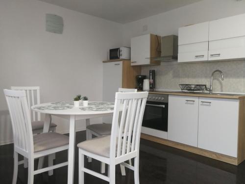 a kitchen with a table and chairs and a sink at Apartments with parking space Smoljanac, Plitvice - 12345 in Smoljanac