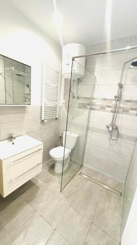a bathroom with a shower and a toilet and a sink at Apartament Kormoranów 3 in Charzykowy