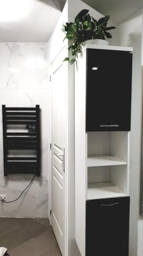 Jolie chambre tout confort dans appartement partagé