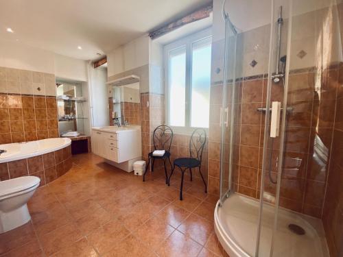 a bathroom with a shower and a toilet and a sink at Logis Hostellerie la Chaumière in Arsonval