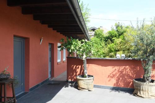 two potted trees in pots next to a building at Hotel Casa Verde in Trier
