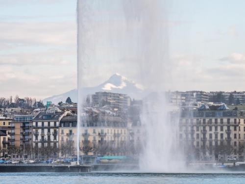 a fountain in the water in front of a city at Hôtel de la Cigogne in Geneva