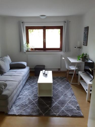 a living room with a couch and a table at Apartment am Gifizsee Offenburg in Offenburg
