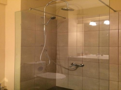 クラヨーヴァにあるExecutive Apartmentsのバスルーム(ガラスドア付きのシャワー付)