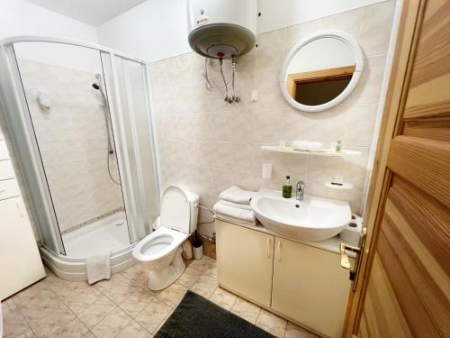a bathroom with a toilet and a sink and a shower at Vila Nidutė in Nida