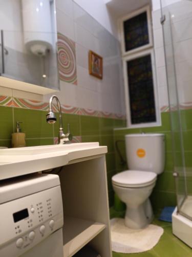un piccolo bagno con servizi igienici e lavandino di Evergreen a Belgrado