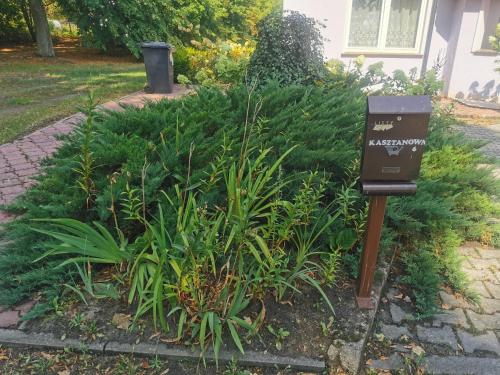 a garden with a parking meter next to a plant at Przystań Familijna in Santoczno
