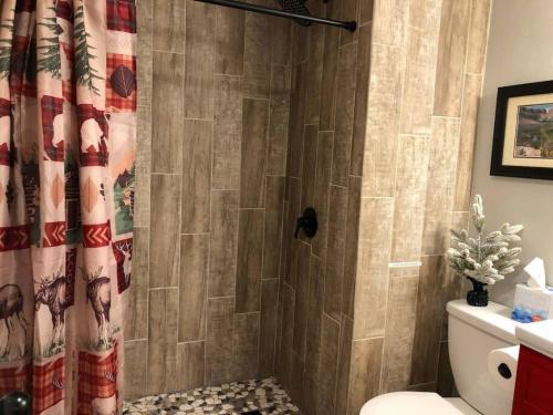 a bathroom with a shower with a toilet at MTN Town Escape-Beavers Den, 1 Bdrm luxury Apt in Green Mountain Falls