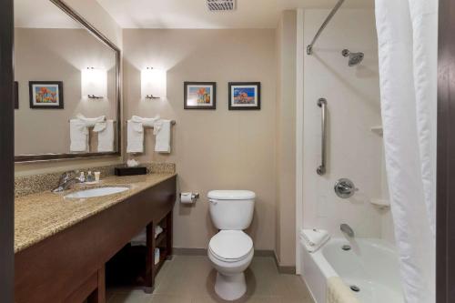y baño con aseo, lavabo y ducha. en Comfort Suites Ontario Airport Convention Center en Ontario
