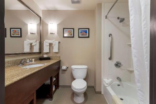 Comfort Suites Ontario Airport Convention Center في أونتاريو: حمام مع مرحاض ومغسلة ودش