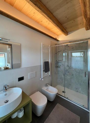 a bathroom with a toilet and a sink and a shower at Nido di Faggio in Borsoi
