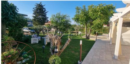 a garden with a dead tree in the yard at CASE DI BACCO in Agropoli