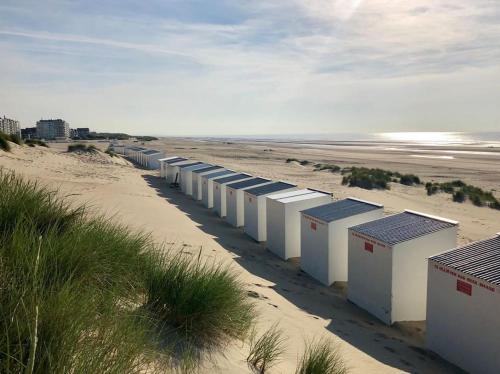 une rangée de cabanes de plage sur une plage de sable dans l'établissement HHVDK aan zee, à Oostduinkerke