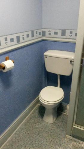 a bathroom with a white toilet in a blue wall at Walford Hotel in Blackpool