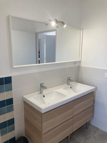 a bathroom with a sink and a large mirror at DOMAINE FORVENT in Saint-Julien-de-Peyrolas