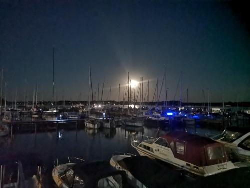 a group of boats docked in a marina at night at Ostsee Hausboot Schleswig Ostseeblick 1 in Schleswig
