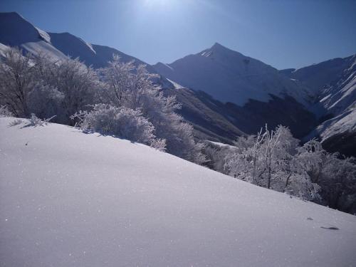 a snow covered slope with trees and mountains in the background at Casetta dei sibillini in Fiastra