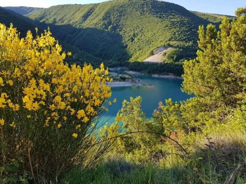 a view of a lake in the mountains with yellow flowers at Casetta dei sibillini in Fiastra