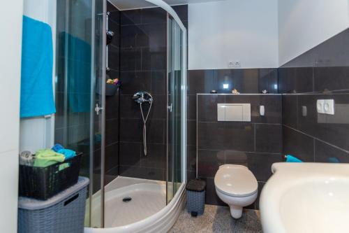 a bathroom with a shower and a toilet and a sink at HOLIDAY HOME IVA, Proložac - Makarska in Donji Proložac