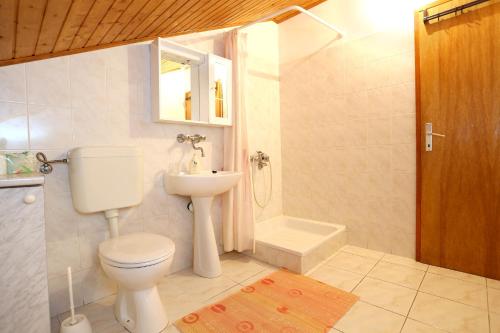 uma casa de banho com um WC, um lavatório e um chuveiro em Apartments with a parking space Zuljana, Peljesac - 252 em Zuljana