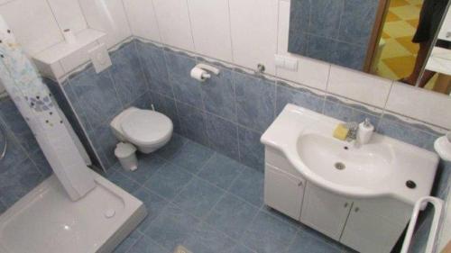 a bathroom with a sink and a toilet and a mirror at Apartments with parking space Zuljana, Peljesac - 252 in Žuljana