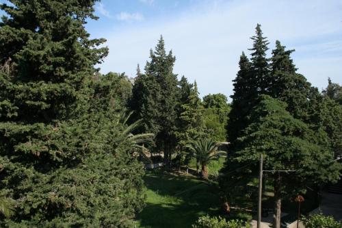 Κήπος έξω από το Studio Trpanj 257c