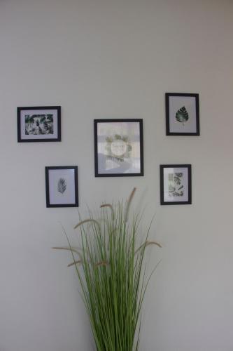 Galeriebild der Unterkunft ROS’APPART in Jaunde