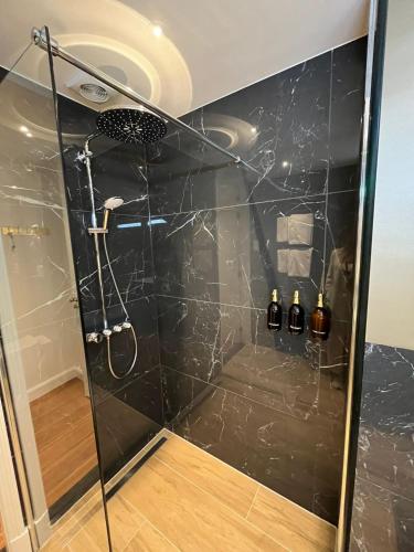a shower with a glass door in a bathroom at Het Waterhof in Leiden