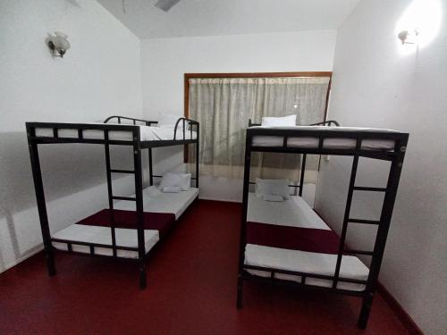 Lazy Bear Best Hostel in Kandy, Kandy – Updated 2023 Prices
