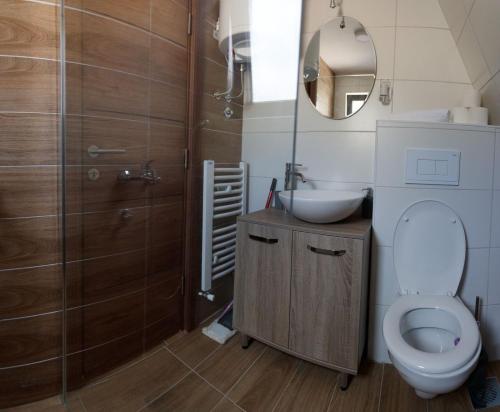 a bathroom with a toilet and a sink and a mirror at Zlatarski čardaci in Nova Varoš