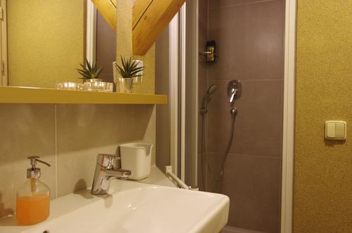 a bathroom with a sink and a shower with a shower at Apartment u Frejštejna in Podhradí nad Dyjí