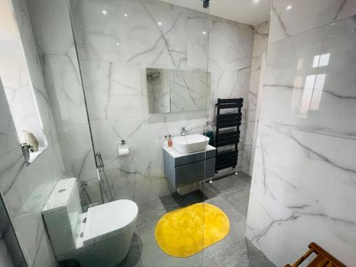 uma casa de banho com um lavatório, um WC e um espelho. em Rooms in a beautiful house with free on St parking em Hove
