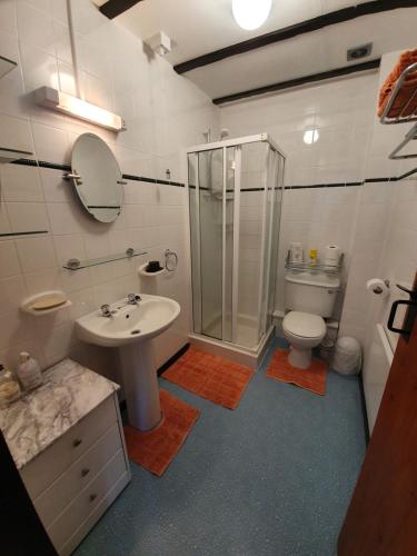 Crailloch Croft Cottages في سترانراير: حمام مع دش ومغسلة ومرحاض