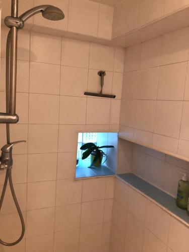 een badkamer met een douche en een plant op een plank bij Au Cynorrhodon in Villeurbanne