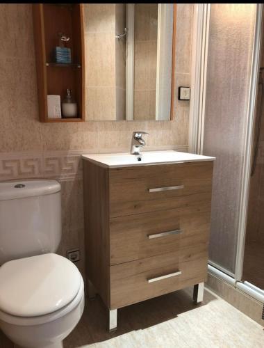 a bathroom with a toilet and a sink at Las tres palmeras in Vinarós