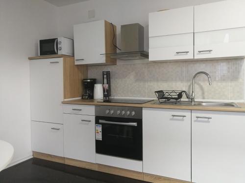 Η κουζίνα ή μικρή κουζίνα στο Apartment Smoljanac 12345c