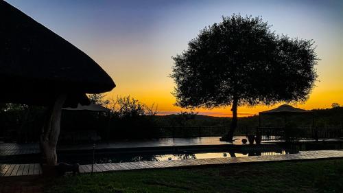 a sunset with a tree and a swimming pool at Muweti Bush Lodge in Grietjie Nature Reserve