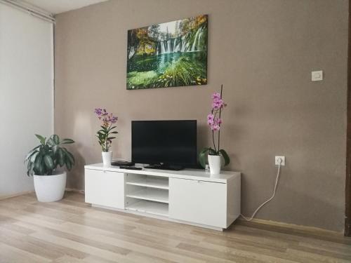 a living room with a tv on a white cabinet at Apartments with a parking space Smoljanac, Plitvice - 14979 in Smoljanac