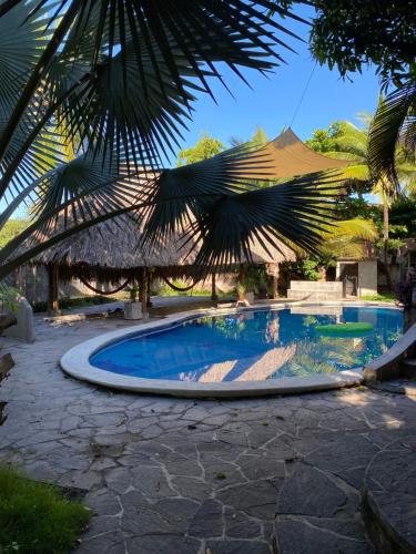 basen w ośrodku z palmą w obiekcie Lote 44 Guesthouse w mieście El Zonte