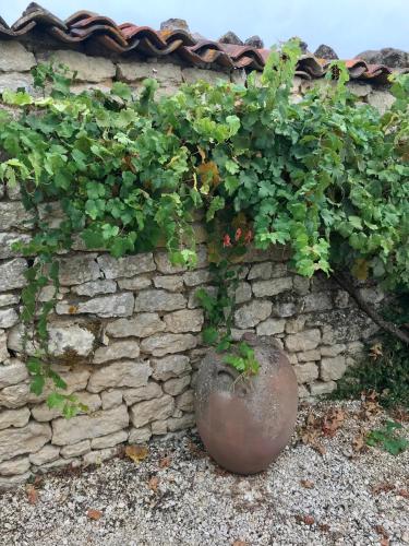 a stone wall with a plant in a vase at La Belle Parenthèse in Vergné