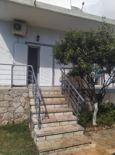 Silva apartment - Imazhi 4