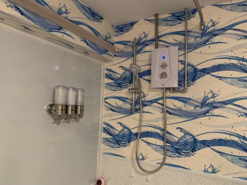 a bathroom with a shower with a blue and white wallpaper at Roadside House in Ballynahinch