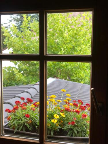 a window with a view of a garden with flowers at Altstadtpension Zirndorf in Zirndorf