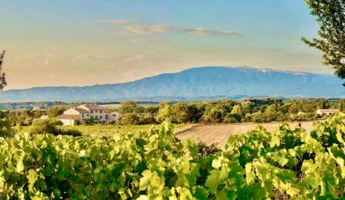 Bastide Saint-Didier – Photos 2