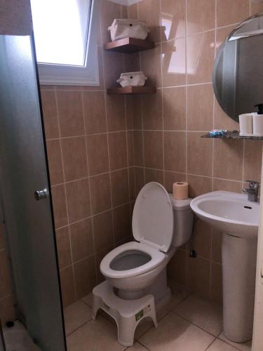 a bathroom with a toilet and a sink at Panoramic Holidays - Standard 73 in Peyia