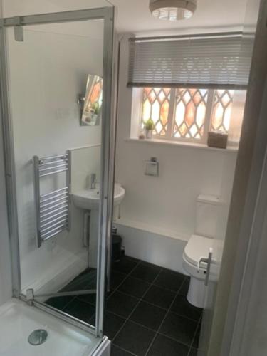a bathroom with a sink and a toilet and a window at Hursley Rooms - The Dolphin in Winchester