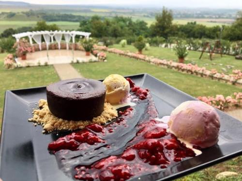 a plate of food with a chocolate cake and ice cream at Merlot Borhotel és Látványpince in Edelény